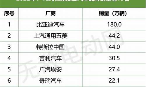 小新能源汽车排行,小巧新能源汽车排名