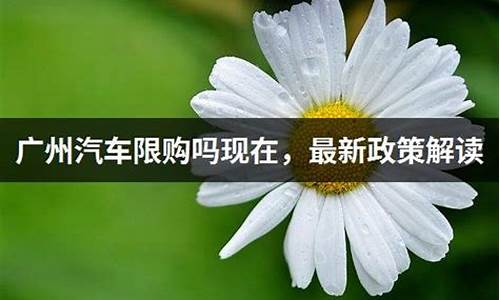 广州汽车限迁取消最新消息_广州汽车限购政策最新消息公布