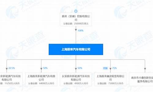 蔚来汽车十大股东,蔚来汽车股东构成