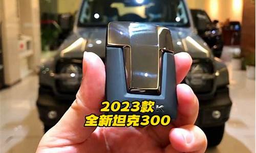 坦克300落地-tank 300 最新落地价